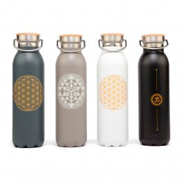 Botella Térmica de Acero inox 600 ml.