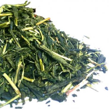 Té Verde Bancha Uji Japonés