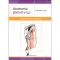 Anatomía para el yoga