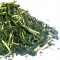 Té Verde Bancha Uji Japonés